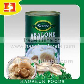 Canned Oyster Mushroom in Brine