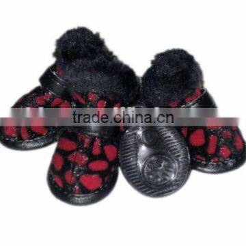 dog warn shoes