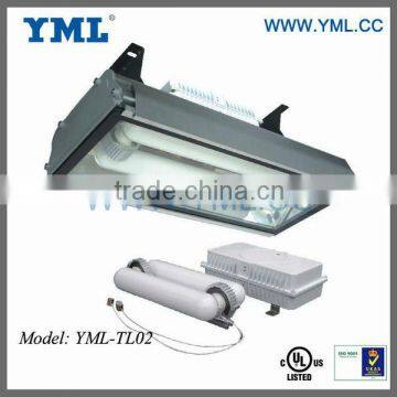 UL, ETL,CE,ROHS High Power Induction Long Life-span 200W,400W Plant Grow light