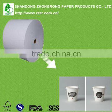 Disposable Paper Cup Paper