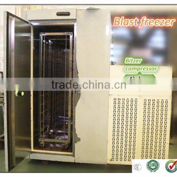 blast freezer/deep freezer/frozen