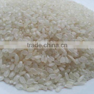 Vietnam Sushi Rice ( Japonica Rice ) photo-2
