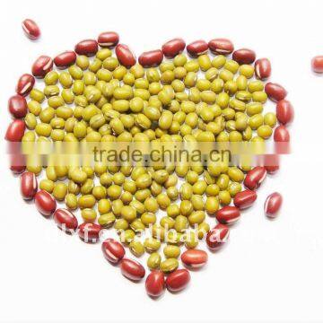 Mung Bean