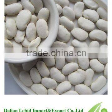 All Kinds Of Bean Cooking White Beans Competitive Price 2016 Crop Wholesale