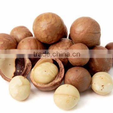 Macadamia Nuts Premium Quality, Organic Certified