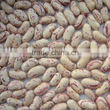 yian light speckled kidney beans