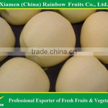 Golden Apple photo-5