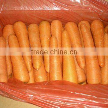 fresh middle carrot 200g-250g