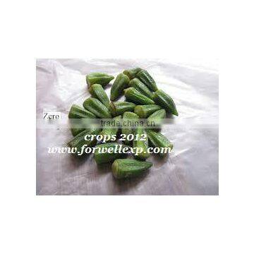 Frozen Okra One