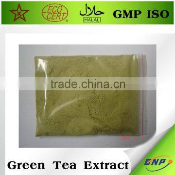 BNP Professional Supplier Organic Green Tea Extract photo-2
