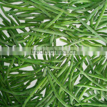 Frozen Green Bean