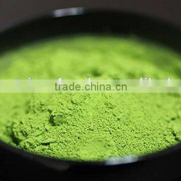 Matcha USDA Organic Green Tea Powder Wholesale Price