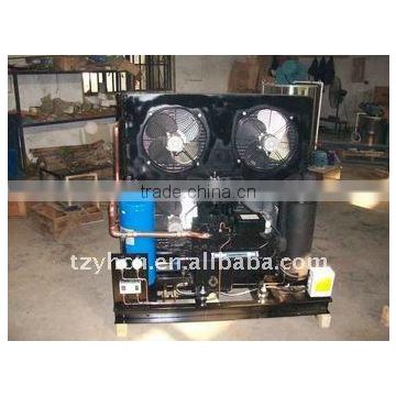 Copeland Air-cooled Condensing Unit for cold room