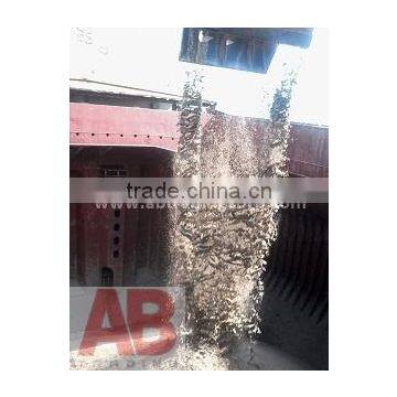 Reclamation Sand for Japan photo-5