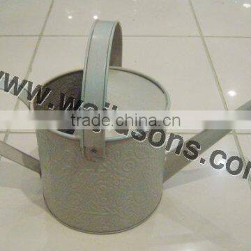 Watering Can Manufacturer, Watering Can Plant Use Decorative