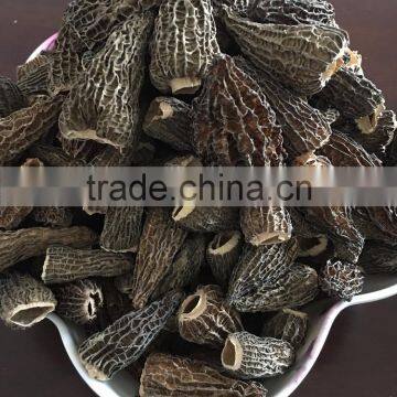 dried morels