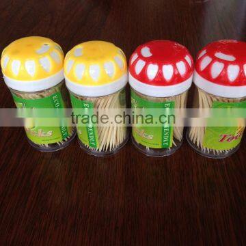 bamboo toothpicks with personalized label in tube/bottle packing