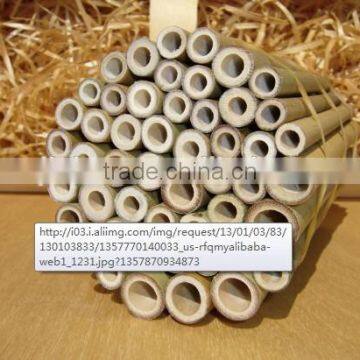 Wy-C108 Promotional natural bamboo poles