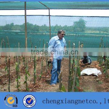 green shade net for agriculture on sale with low price