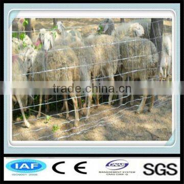 Hepeng Factory Galvanized Iron Wire Horse/sheep/cattle/deer/cow Fence Panel photo-4