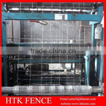 Direct Factory Hot Sale Grassland Wire Mesh Fence photo-5