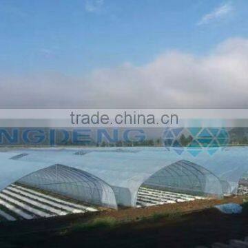 Wind Greenhouse Polytunnel photo-2