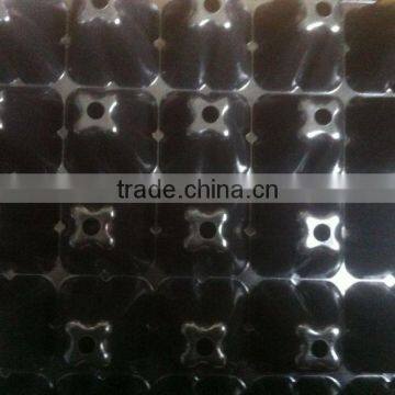 50 Cell Vegetable Seed Sprouting Trays photo-3