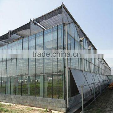 Galvanized Steel Frame Commercial Glass Greenhouse For Sale photo-6