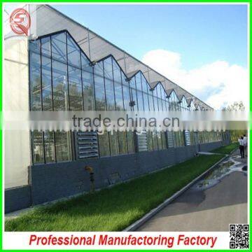 Hot Sale Multi-span Glass 8.0m Agriculture Greenhouses for Planting