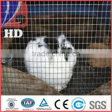 Bird cage chicken wire mesh