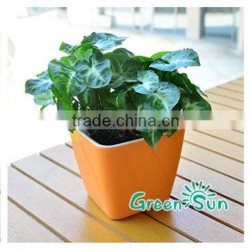 Korean wholesale flower pots, plastic pots, creative small square pots