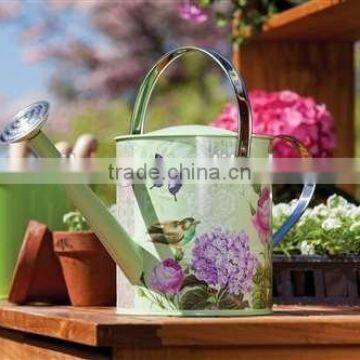 5L Customized Printed Metal Watering Can