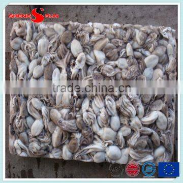 Frozen Baby Otopus IQF Gutted photo-6