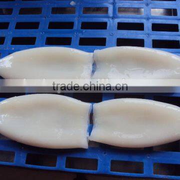 Frozen Tordarodes and Argentina Squid Tube U10,U7,U5 photo-4