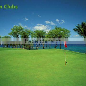 M5 Mini Blance Scooter 2016 Custom Designed for Golf for September Procurement Festival photo-4