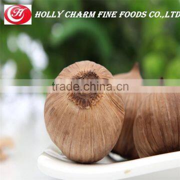 Healthy Product Natural Fermented Solo Black Garlic Seeds photo-6