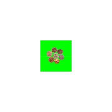 aquarium feed,aquarium fish food