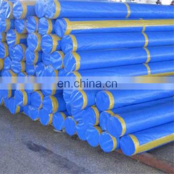 China Cheap Price Blue PE Tarpaulin Roll