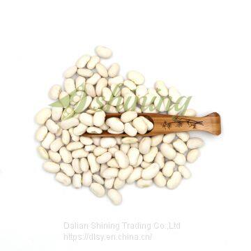 Large White Kidney Beans photo-5