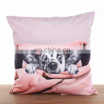 Ins Sofa Cushion Cute Fox Dog Animal Square Decorative Throw Pillows Case Cushion Covers photo-5