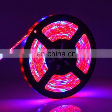China Led Phyto Lamps DC12v Grow Flexible Light Strip Full Spectrum for Plants Flowers Greenhouses Hydroponic