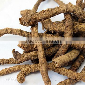 GMP factory Natural Picrorhiza Rhizome Extract, Picrorhiza root Extract, 5:1/10:1/20:1 Picrorhiza Rhizome Extract