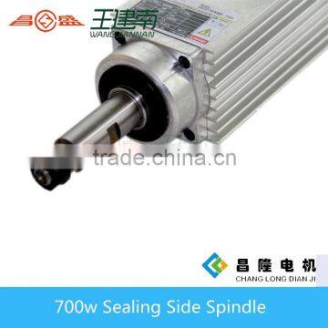 Changsheng Sealing Side Spindle 700/750w Air Cooled(GDZ70*62-700w/750w ) photo-2
