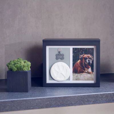Small Dog Urns Trade Supplier Offer Wooden Secure Storage
