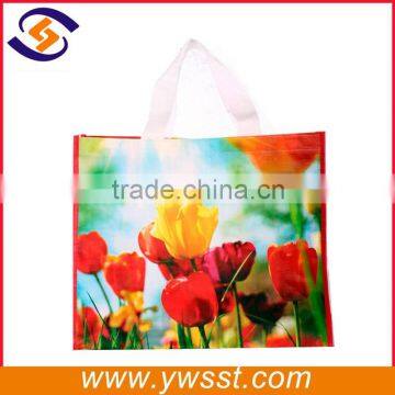 Hot Sale Non Woven Eco-friendly Shopping Bag