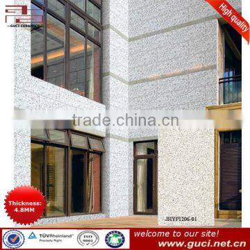 Environment-friendly Building Exterior Wall Tile                        
                                                Quality Choice