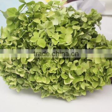 Pure and mild flavor crazy selling flower arrangements hydrangea