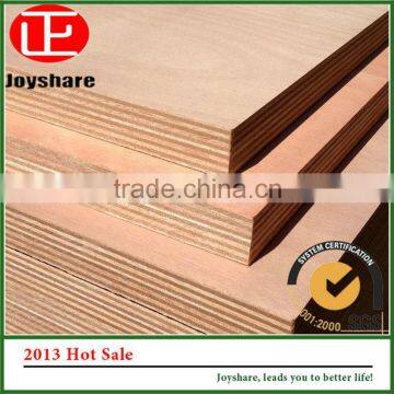 China Manufacturer Wholesale concrete /phenolic /eucalyptus plywood