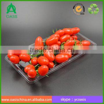 Rectangle clear disposable plastic blueberry fruit trays