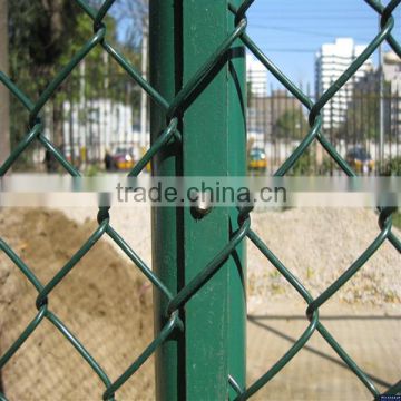 high qualitity chain link mesh/hebei tuosheng